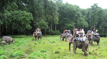 chitwan jungle safari