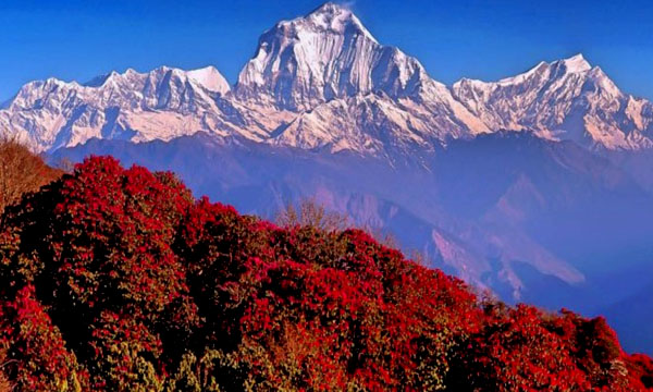 ghorepani trek