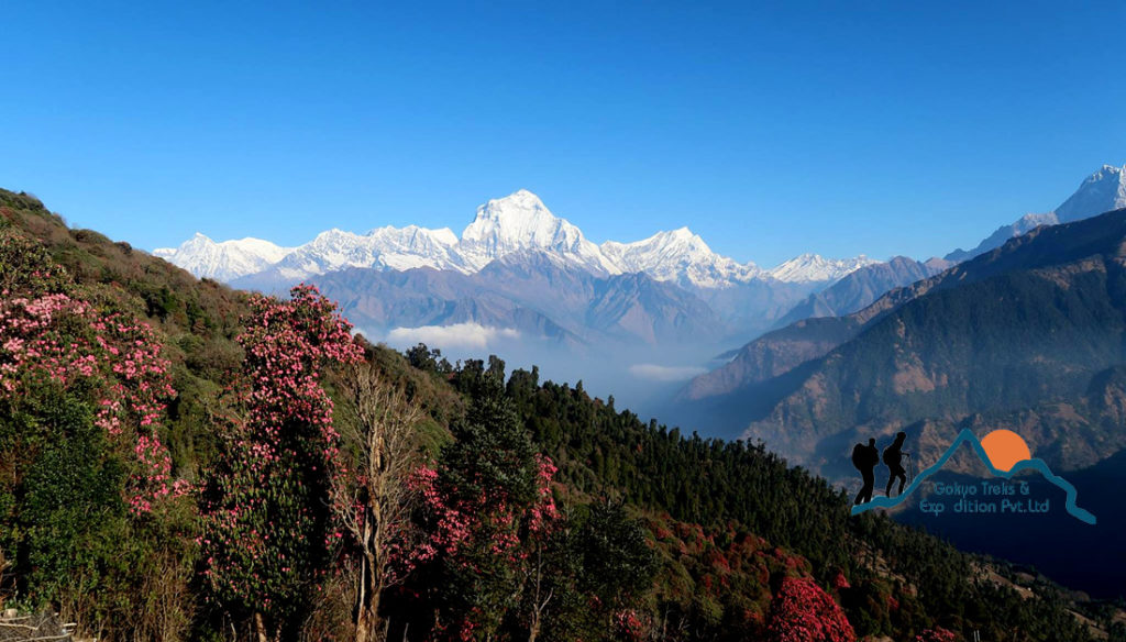 die Kleine Annapurna Trek für Einsteiger