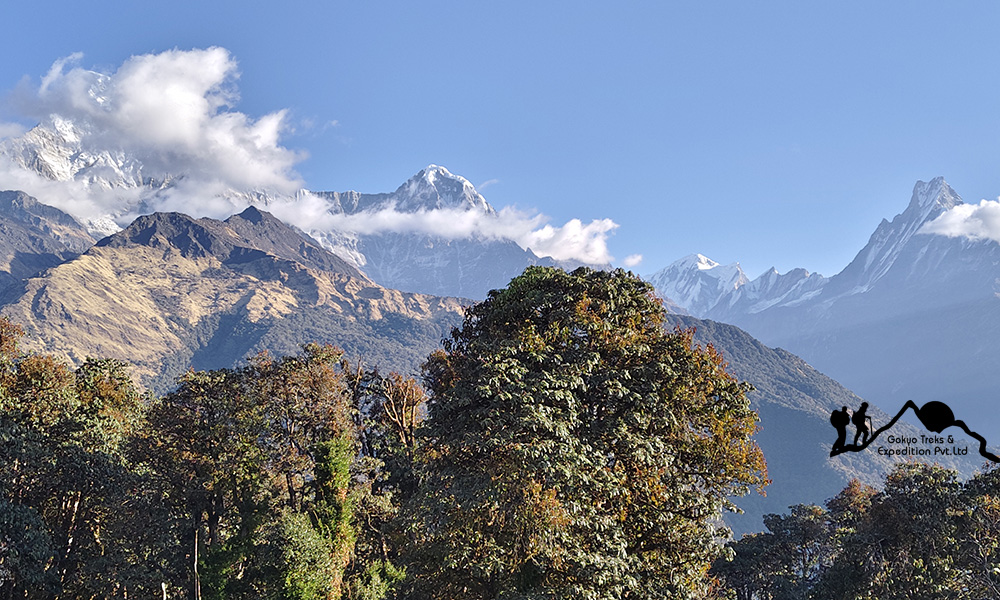 Annapurna Trek for Beginners Annapurna trek for beginners