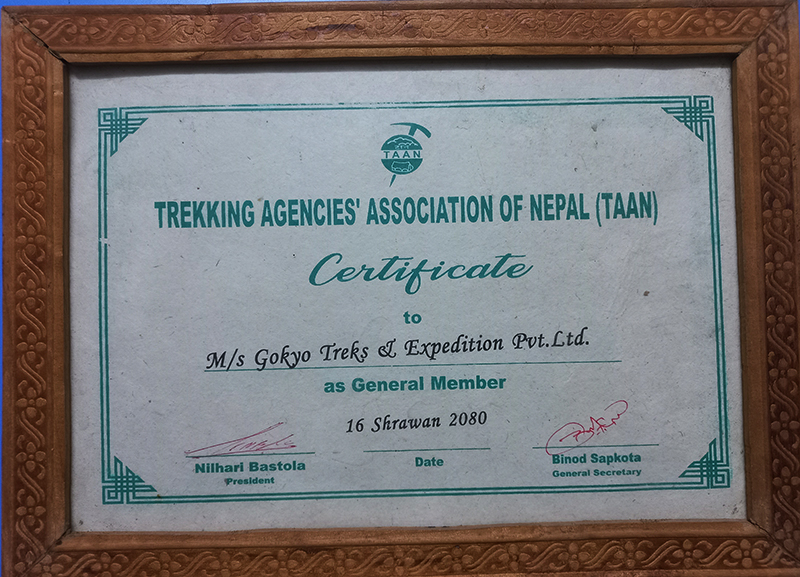 TAAN Member Agency TAAN member
